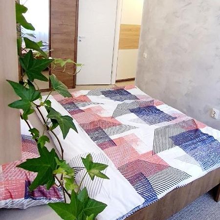 Larisa Apartment Κλουζ-Ναπόκα Εξωτερικό φωτογραφία