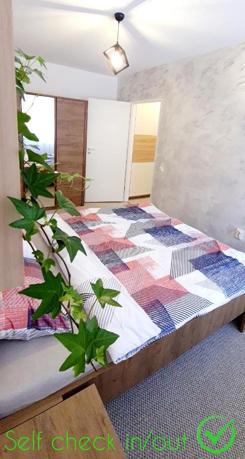 Larisa Apartment Κλουζ-Ναπόκα Εξωτερικό φωτογραφία