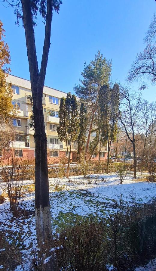 Larisa Apartment Κλουζ-Ναπόκα Εξωτερικό φωτογραφία
